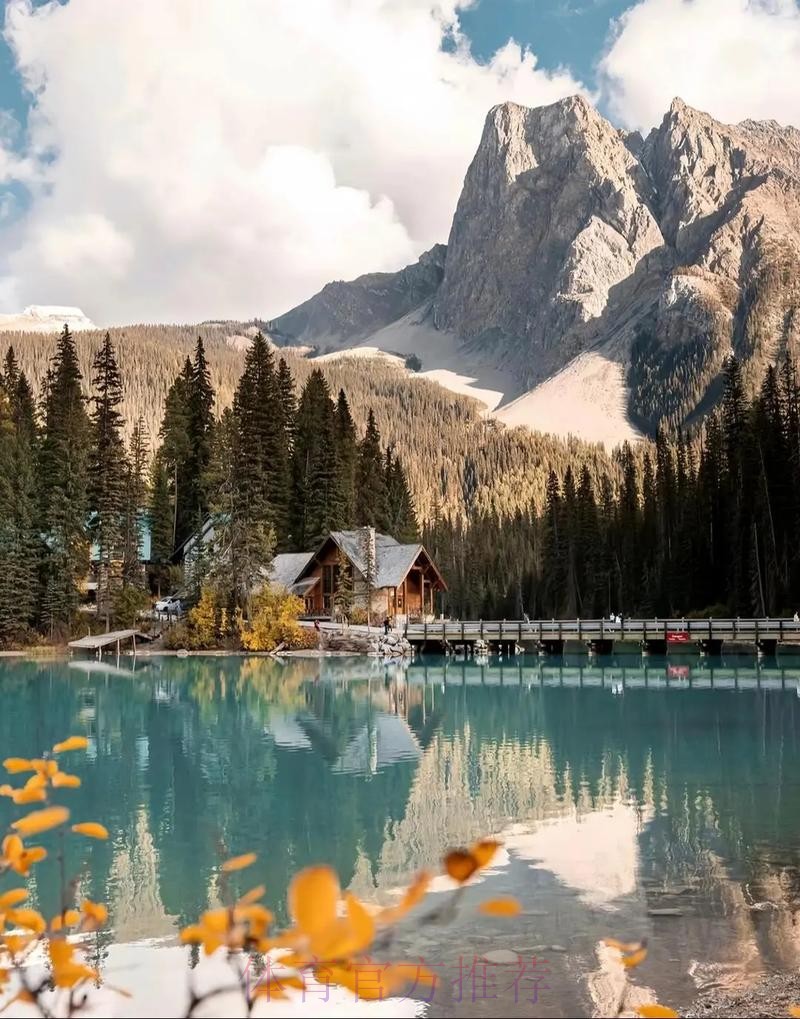 2026美加墨世界杯高清直播最新